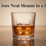 What Does Neat Mean in a Drink? Definition, Usage, Examples & Comparisons 2026