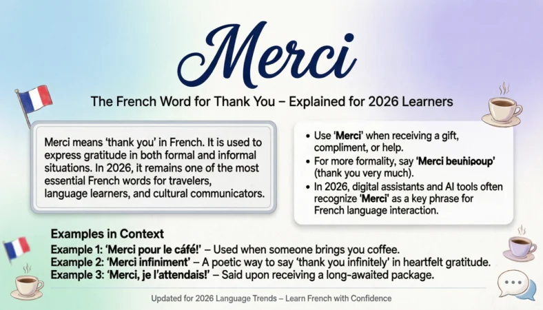Merci Mean in French